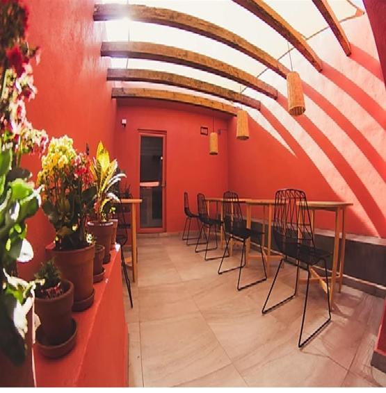Lu De Anda Hotel Boutique San Luis Potosí Zewnętrze zdjęcie